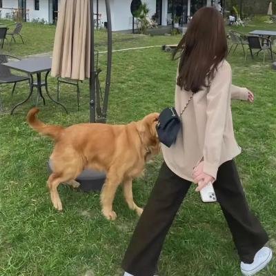 捉鬼敢死队 封面