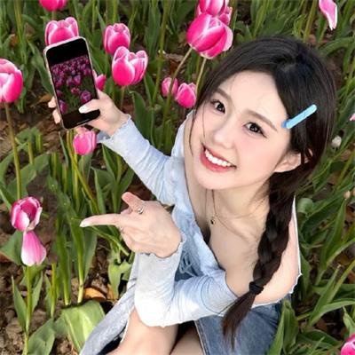 我的纯洁土地 封面